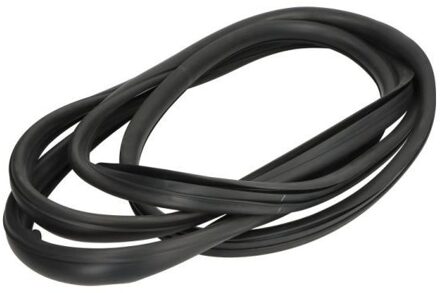 Afdichting, voorruit 5703046037391Q