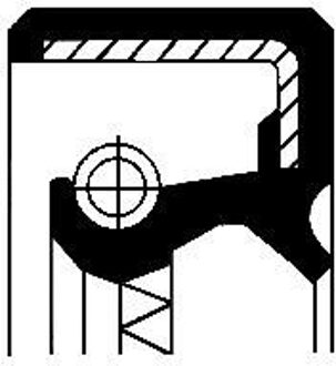 Afdichtring, brandstofpomp 12012713B