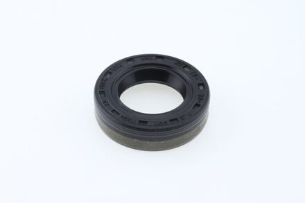 Afdichtring, brandstofpomp 12019583B