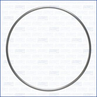 Afdichtring, uitlaatpijp 18008300