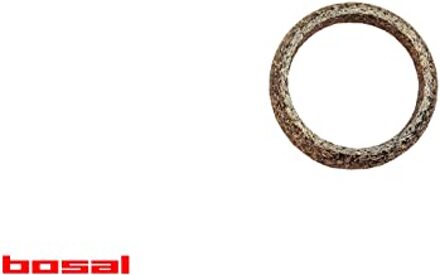 Afdichtring uitlaatpijp