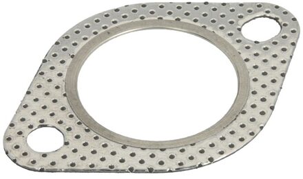 Afdichtring uitlaatpijp