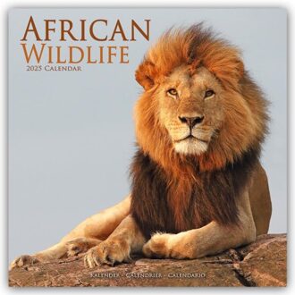 African Wildlife Calendar 2025 Square Wildlife Safari Wall Calendar - 16 Month - Browntrout - Avonside Publishing Ltd