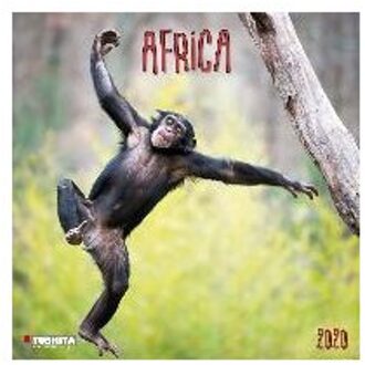 Afrika - Africa Kalender 2020