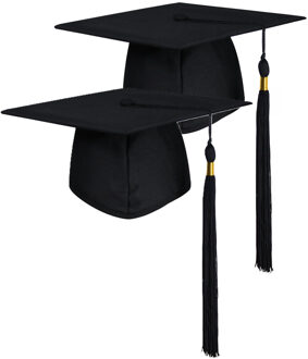 Afstudeer/geslaagd hoedje - 2x - zwart - diploma uitreiking - examen gehaald