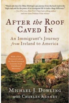 After The Roof Caved In - Michael J. Dowling