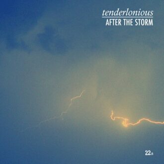 After The Storm - Tenderlonious