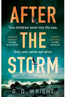 After The Storm - Wright, G. D.