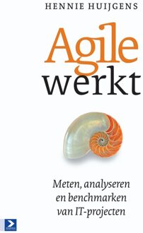 Agile werkt - eBook Hennie Huijgens (9024407990)