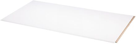 Agnes wand-en plafondplaat T&G 4-z wit stuc 12mm 60x120cm