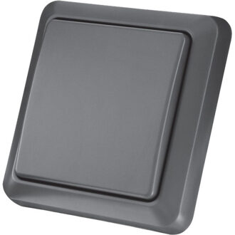 AGST-8800 Enkele wandschakelaar buiten Schakelaar Grijs