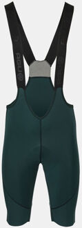 Agu Performance Enduro Plus Bibshort Fietsbroek Groen - XL