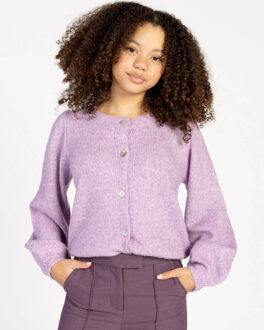 AI&Ko Vest jady pes 442 g Paars - 164