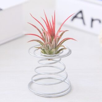Air Plant Houder Bloem Stand Air Plant Lente Draad Tafelblad Tillandsia Houder Miniatuur Tuinieren Decoraties
