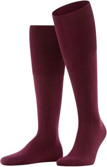 Airport Heren Kniekous 15435 - Rood 8596 barolo Heren - 39-40