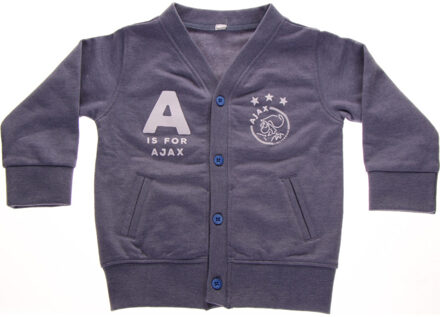 Ajax baby vestje - blauw - maat 68