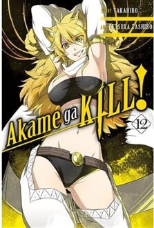 Akame ga KILL!, Vol. 12