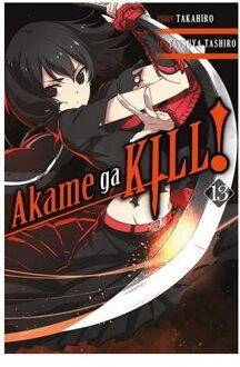 Akame ga Kill!, Vol. 13