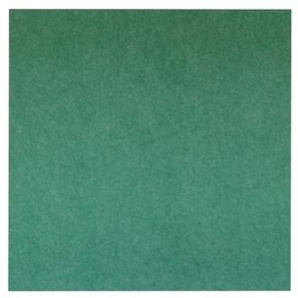 Akoestisch Wandpaneel Pet-vilt - 100x100 Cm - Groen