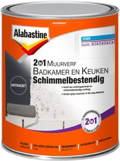 Alabastine muurverf 2in1 badkamer en keuken schimmelbestendig antraciet - 1 liter