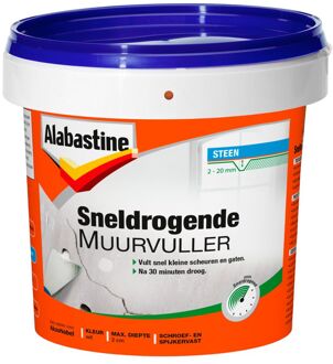 Alabastine Sneldrogende Muurvuller  1Kg