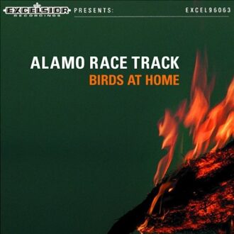 Alamo Race Track - Birds At Home