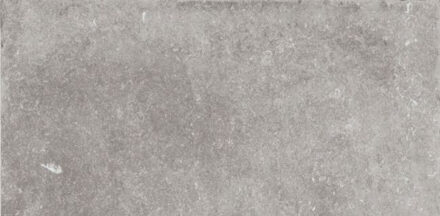 Alana Stone vloertegel grijs 60x120 gerectificeerd