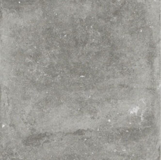 Alana Stone vloertegel grijs 60x60 gerectificeerd