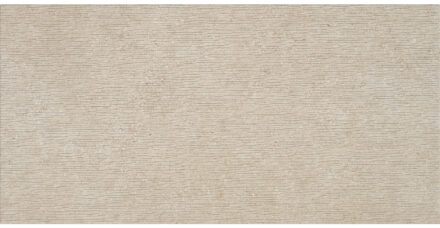 Alaplana Decor Alaplana P.E. Lomma Gerectificeerd 60x120 cm Relief Mate Beige Alaplana