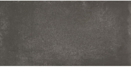 Alaplana Vloertegel 1A Alaplana P.E. Lecco Grafito Mate 30X60 cm Alaplana