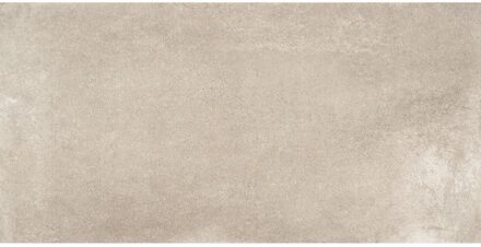 Alaplana Vloertegel 1A Alaplana P.E. Lecco Gris Mate 30X60 cm Alaplana