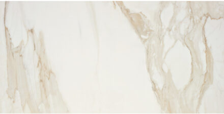 Alaplana Vloertegel Alaplana Golden Hill 60x120 cm Gepolijst Alaplana