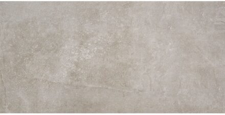 Alaplana Vloertegel Alaplana Larsen Grey 60x120 cm Alaplana