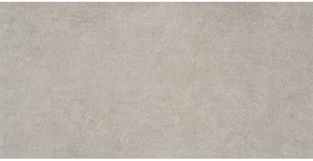 Alaplana Vloertegel Alaplana P.E. Bonn Gerectificeerd 60x120 cm Mate Grey Alaplana