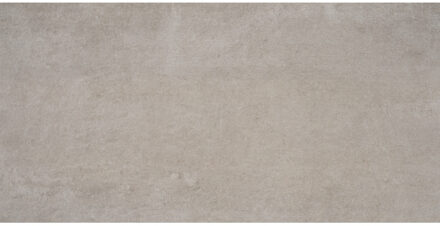 Alaplana Vloertegel Alaplana P.E. Bonn Gerectificeerd 60x120 cm Mate Taupe Alaplana