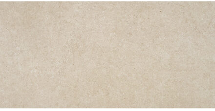 Alaplana Vloertegel Alaplana P.E. Lomma Gerectificeerd 60x120 cm Mate Beige Alaplana