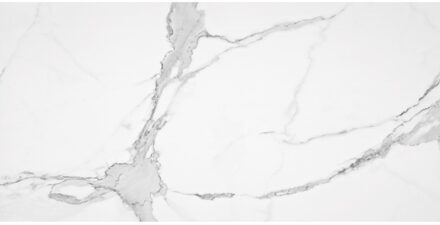 Alaplana Vloertegel Alaplana P.E. Palladio Statuario Gepolijst 60x120 cm Gerectificeerd Marmerlook Alaplana