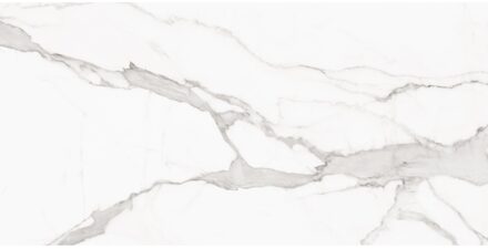 Alaplana Vloertegel Alaplana P.E. Palladio Statuario Mat Satin 60x120 cm Gerectificeerd Marmerlook Alaplana