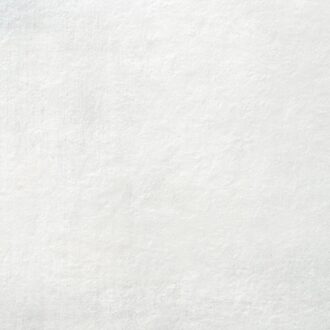 Alaplana Vloertegel Alaplana P.E. Slipstop Horton White Mat 100x100 cm Wit Alaplana