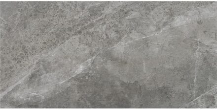 Alaplana Vloertegel Alaplana P.E.Tenby Slipstop Anthracite 60x120 cm Antraciet Alaplana