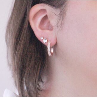 Aleah Oorbellen - Zirkoon Wit en roségoud