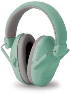 Alecto gehoorbeschermers Kids BV73