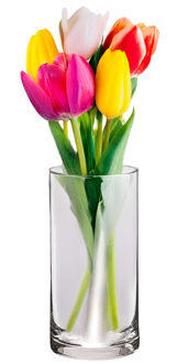 Alessandro Bloemenvaas klassiek - transparant glas - 10 x 20 cm - recht model - boeketvaas