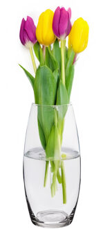 Alessandro Bloemenvaas klassiek - transparant glas - 12 x 26 cm - cilinder model - boeketvaas