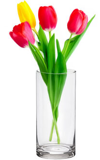 Alessandro Bloemenvaas klassiek - transparant glas - 12 x 26 cm - recht model - boeketvaas