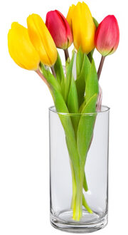 Alessandro Bloemenvaas klassiek - transparant glas - 15 x 30 cm - recht model - boeketvaas