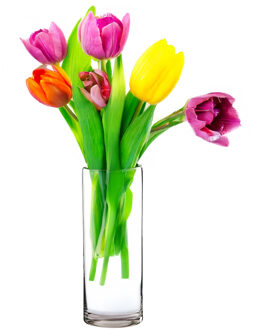 Alessandro Bloemenvaas klassiek - transparant glas - 15 x 40 cm - recht model - boeketvaas