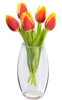 Alessandro Bloemenvaas klassiek - transparant glas - 17 x 30 cm - cilinder model - boeketvaas