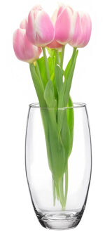 Alessandro Bloemenvaas klassiek - transparant glas - 9 x 20 cm - cilinder model - boeketvaas