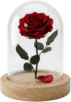 Alessandro Stolp - Eleganza - glas/hout - 10 x 15 cm - op houten plateau